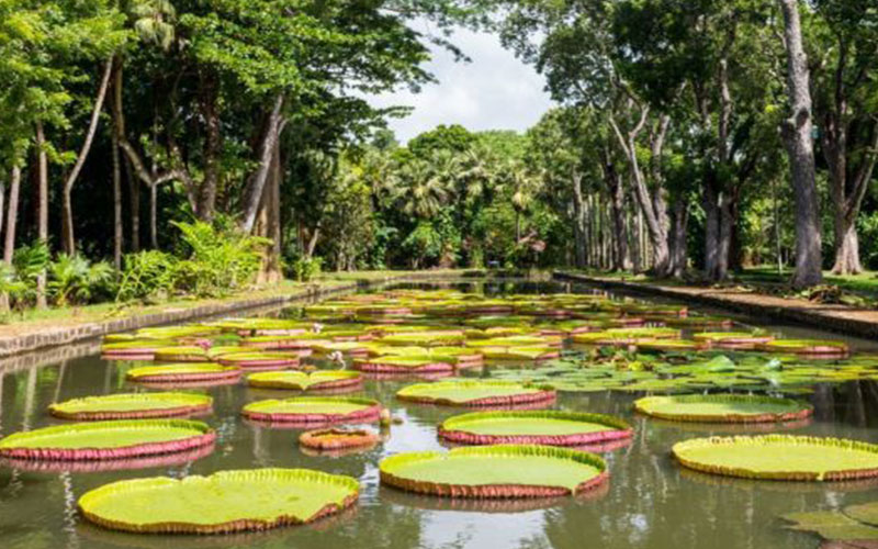 botanical-garden2